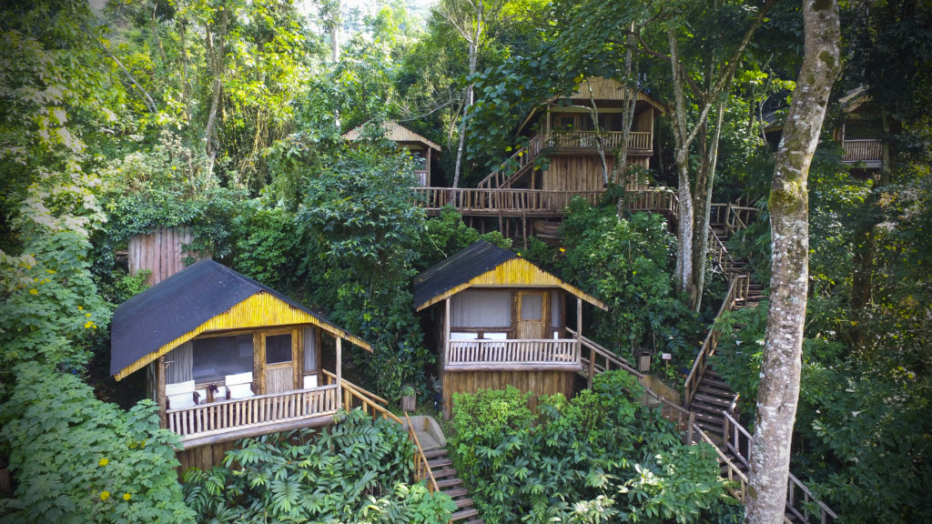 Buhoma Lodge - Bwindi Impenetrable Forest Lodges