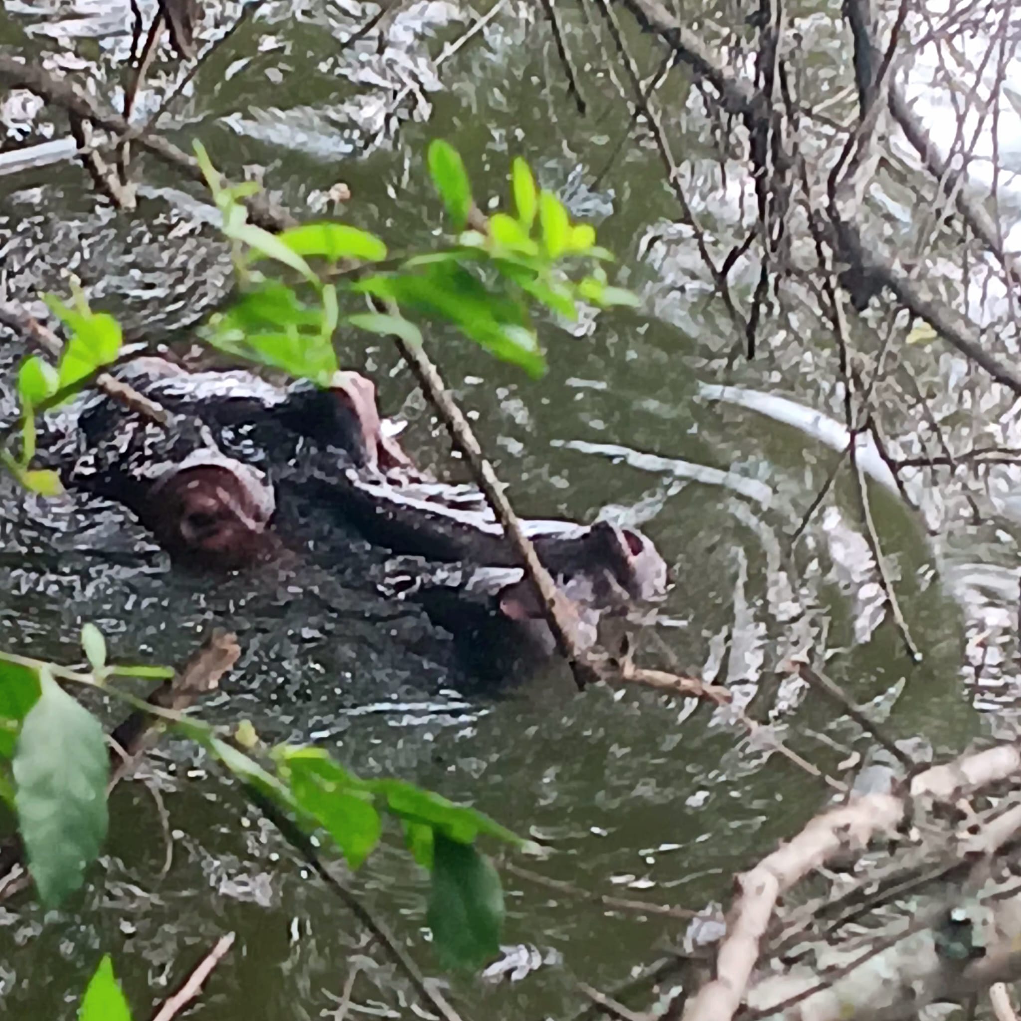 Lake-mburo national park lake-mburo national park